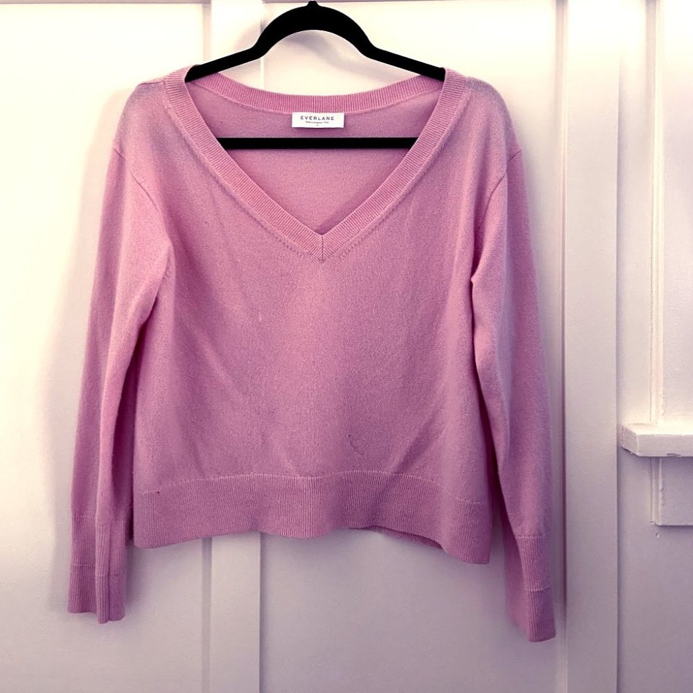Everlane Cashmere V-Neck Sweater